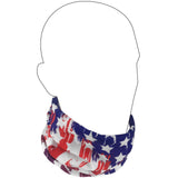 GOT® Starry Ink Flag